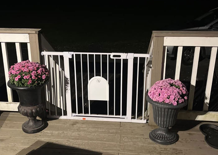 baby gate with cat door